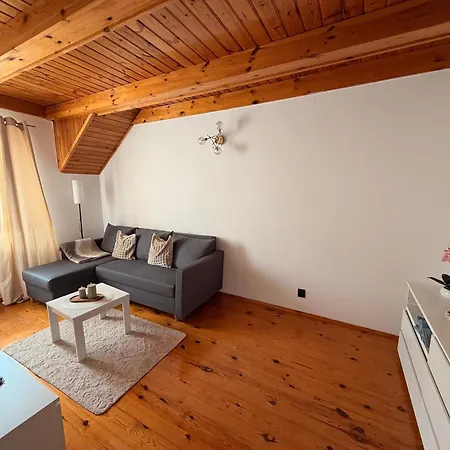 Apartment U Ani *